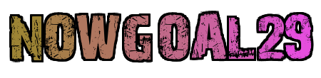 NOWGOAL29 Logo